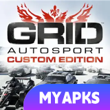GRID Autosport Custom Edition