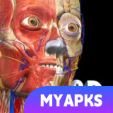 Anatomy Learning - 3D Anatomy Atlas
