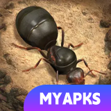 The Ants