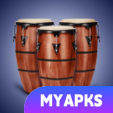 Real Percussion